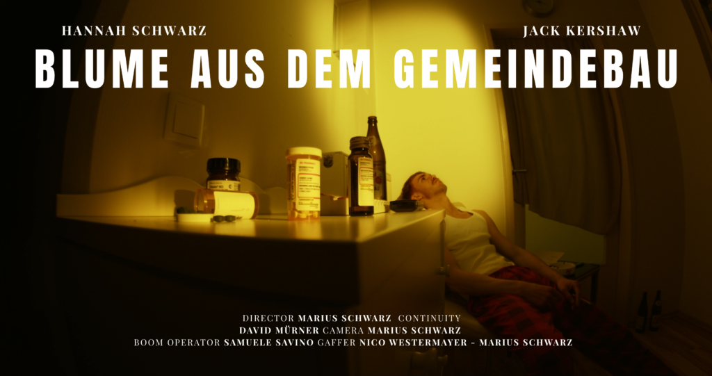 Blume Aus Dem Gemeindebau 1024x541