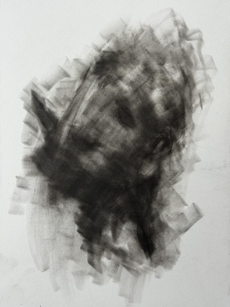 whatsapp image 2026 02 15 at 18.50.45 (1)